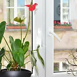 Komfortowe Przy Rynku Klimatyzacja * Vratislav