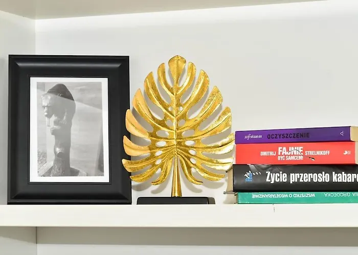 Komfortowe Przy Rynku Klimatyzacja * Breslavia