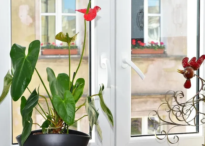 Komfortowe Przy Rynku Klimatyzacja * Breslavia