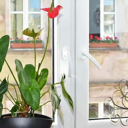 Komfortowe Przy Rynku Klimatyzacja * Breslavia