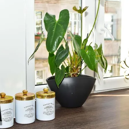 Komfortowe Przy Rynku Klimatyzacja