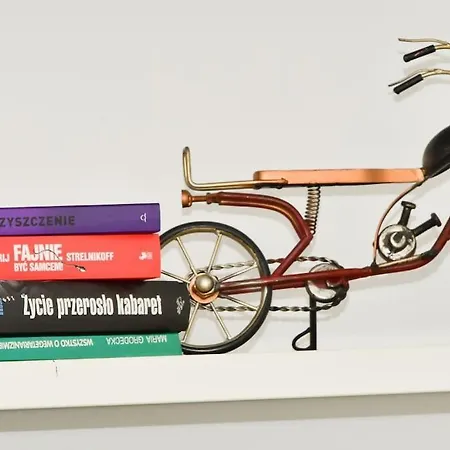 Komfortowe Przy Rynku Klimatyzacja Breslavia